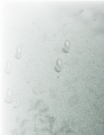 petanque ballen